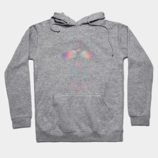 Swallow Bird Hoodie